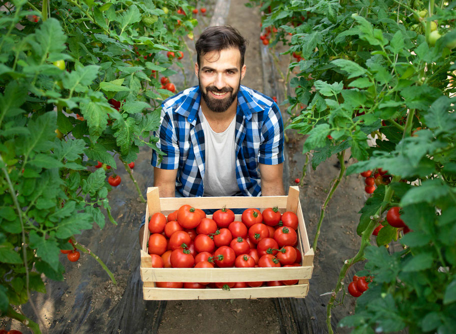 KIRSAL KALKINMA DESTEKLERİ KAPSAMINDA GENÇ ÇİFTÇİLERİ DESTEKLENMESİ PROGRAMI